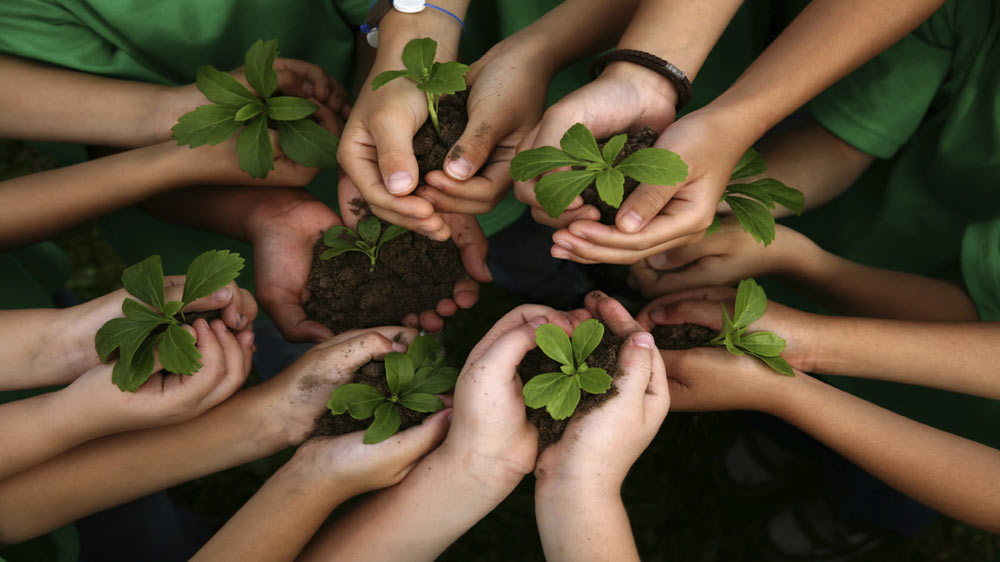 Environmental education in the city of São Paulo